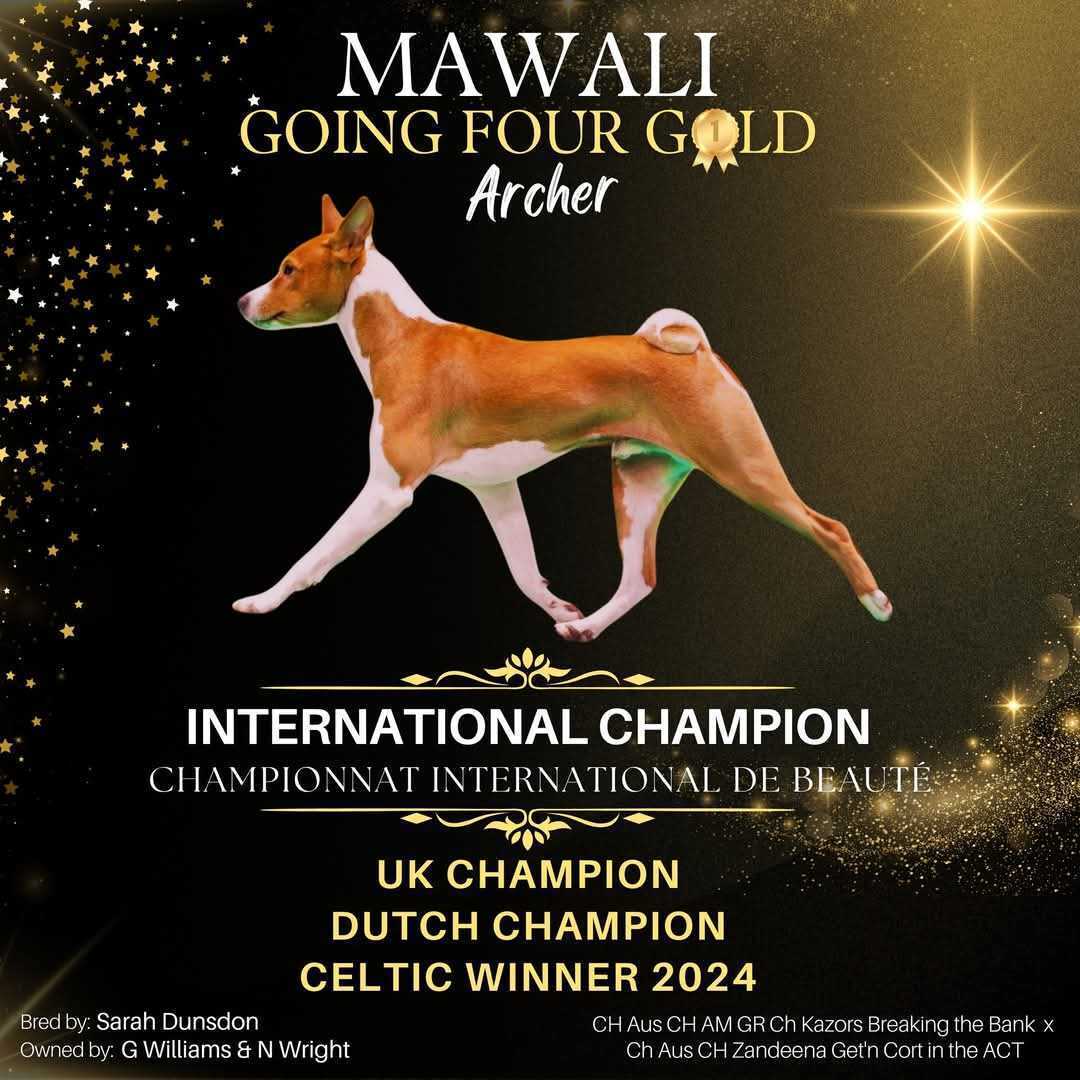 Archer International Champion Ad