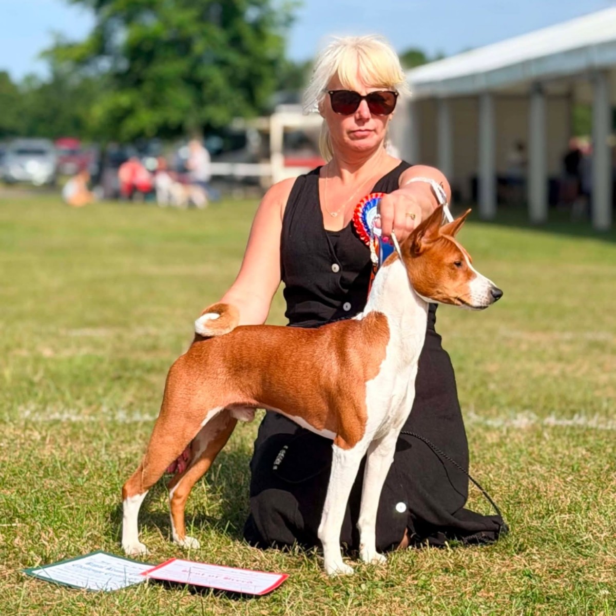 Archer stacked on the grass at Southern Counties Championship