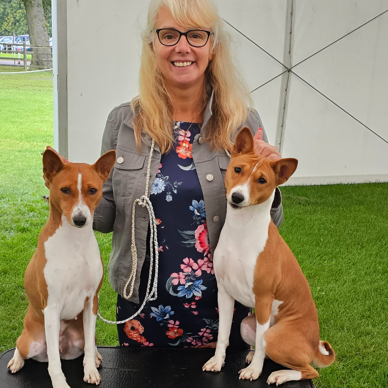 Photo of Sarah, the owner of Mawali Basenjis