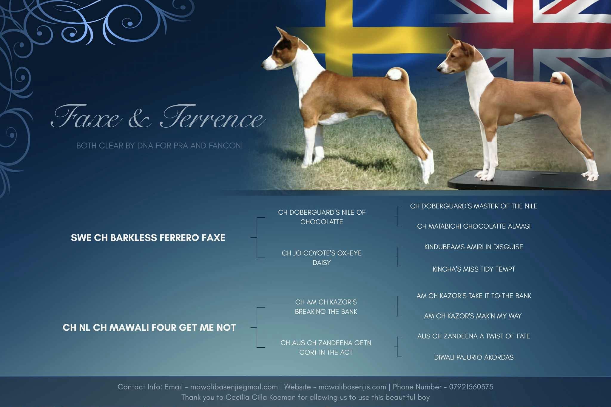 Faxe and Terrence Planned Breeding