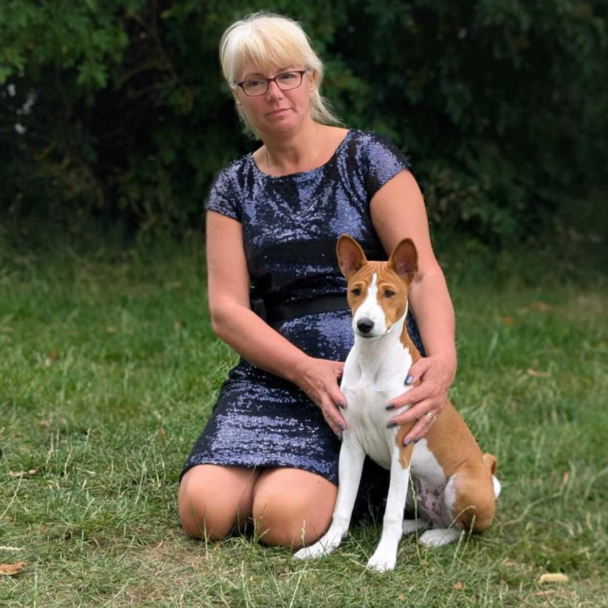William the Basenji