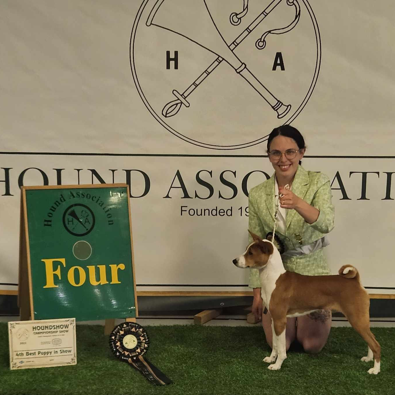 Bingo Mawali New Kid on the Block winning Puppy Group Four at Houndshow