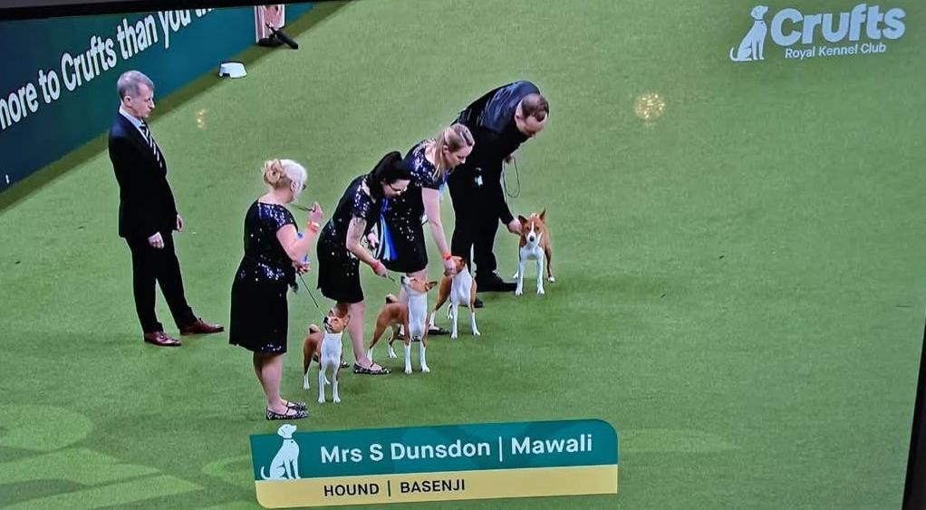 Mawali Breeders Team on the green carpet at Crufts
