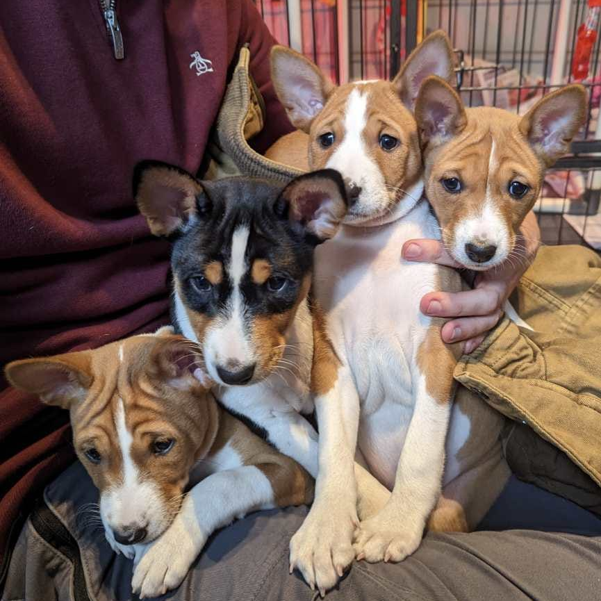 The 'New' Litter group photo