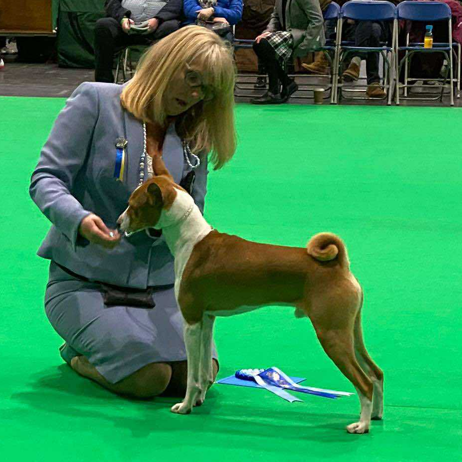 Phil Mawali Four Ever Younge Stack Crufts